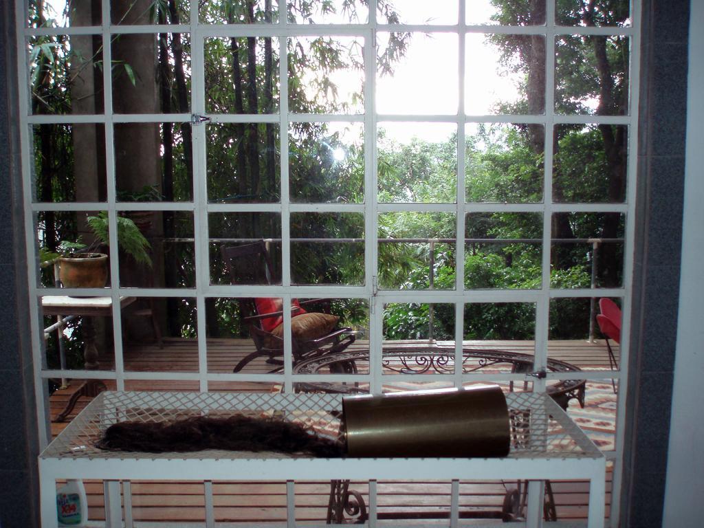 B&B Vitoria Regia Rio de Janeiro Pokoj fotografie
